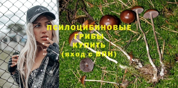 винт Киренск